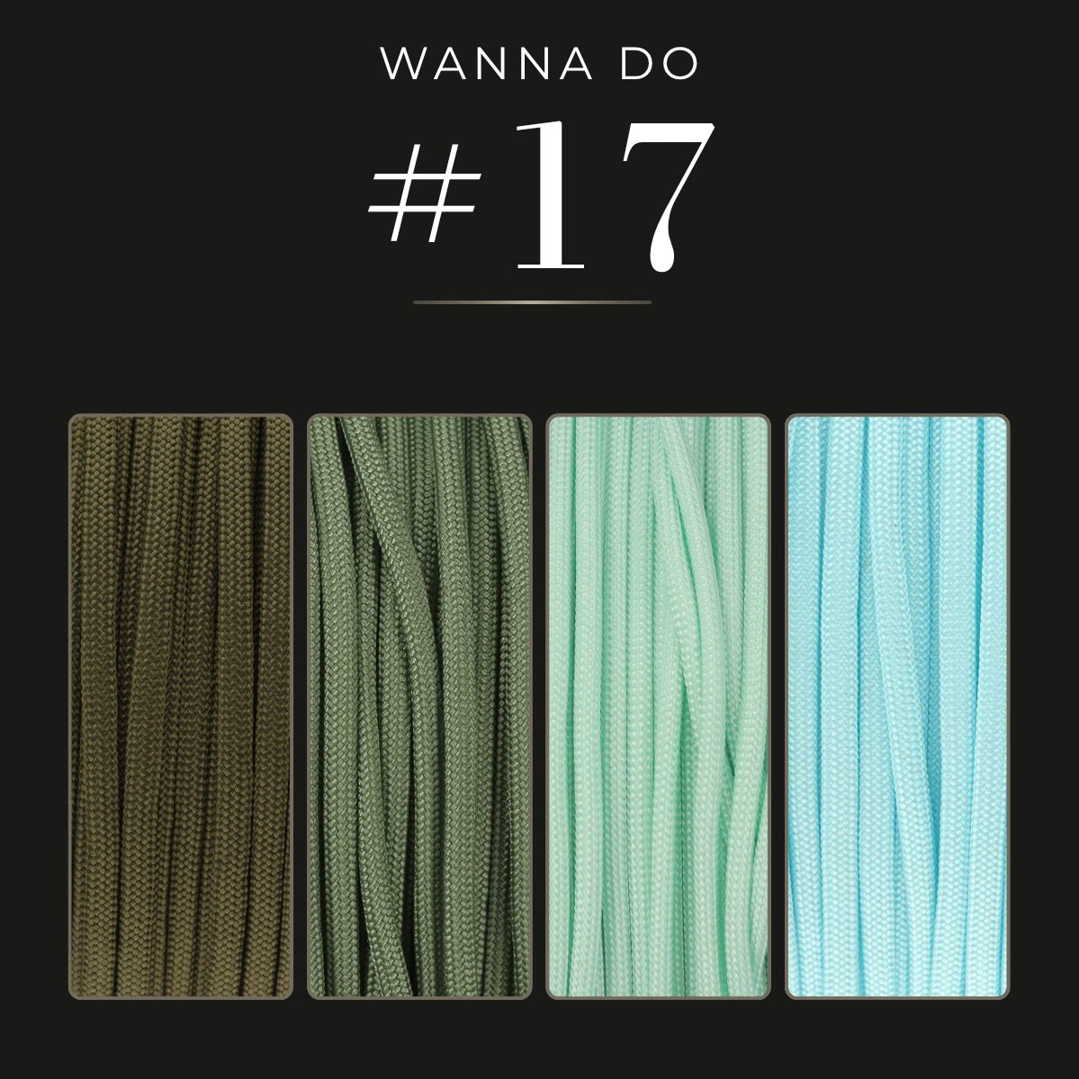 WANNA DO 17