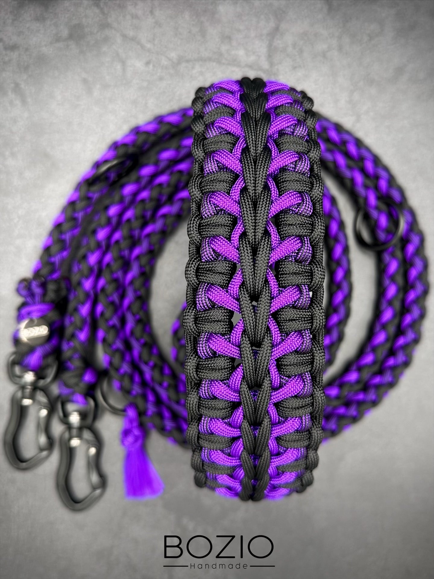 10. STARRYSKY & GAUCHO Halsband & Leine im Set