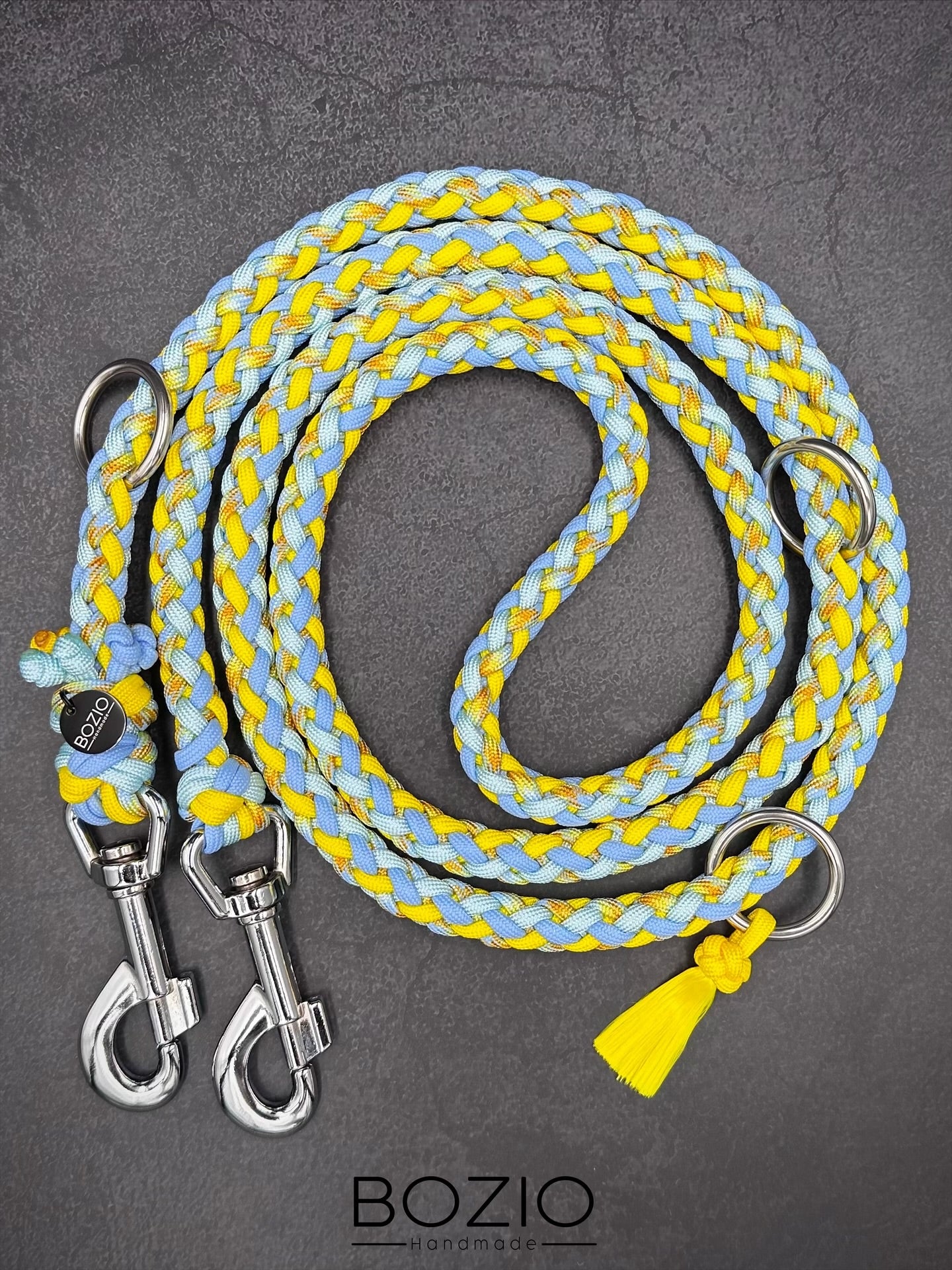 29. EXPLOSION & GAUCHO Halsband & Leine im Set