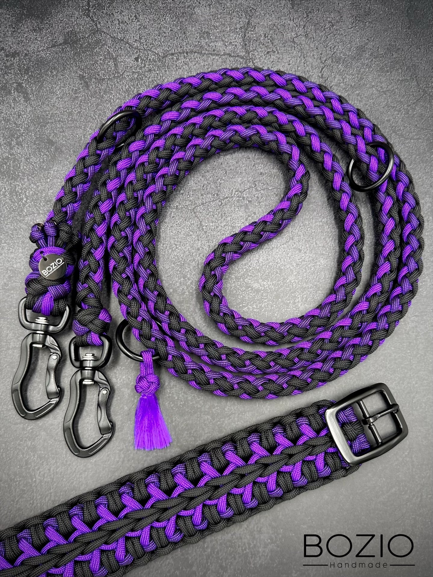 10. STARRYSKY & GAUCHO Halsband & Leine im Set