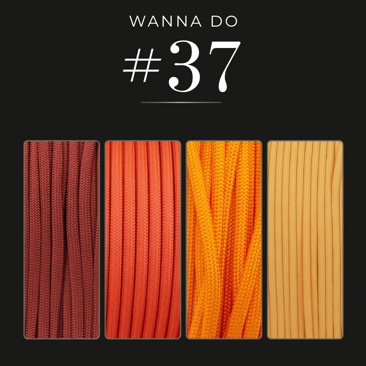 WANNA DO 37
