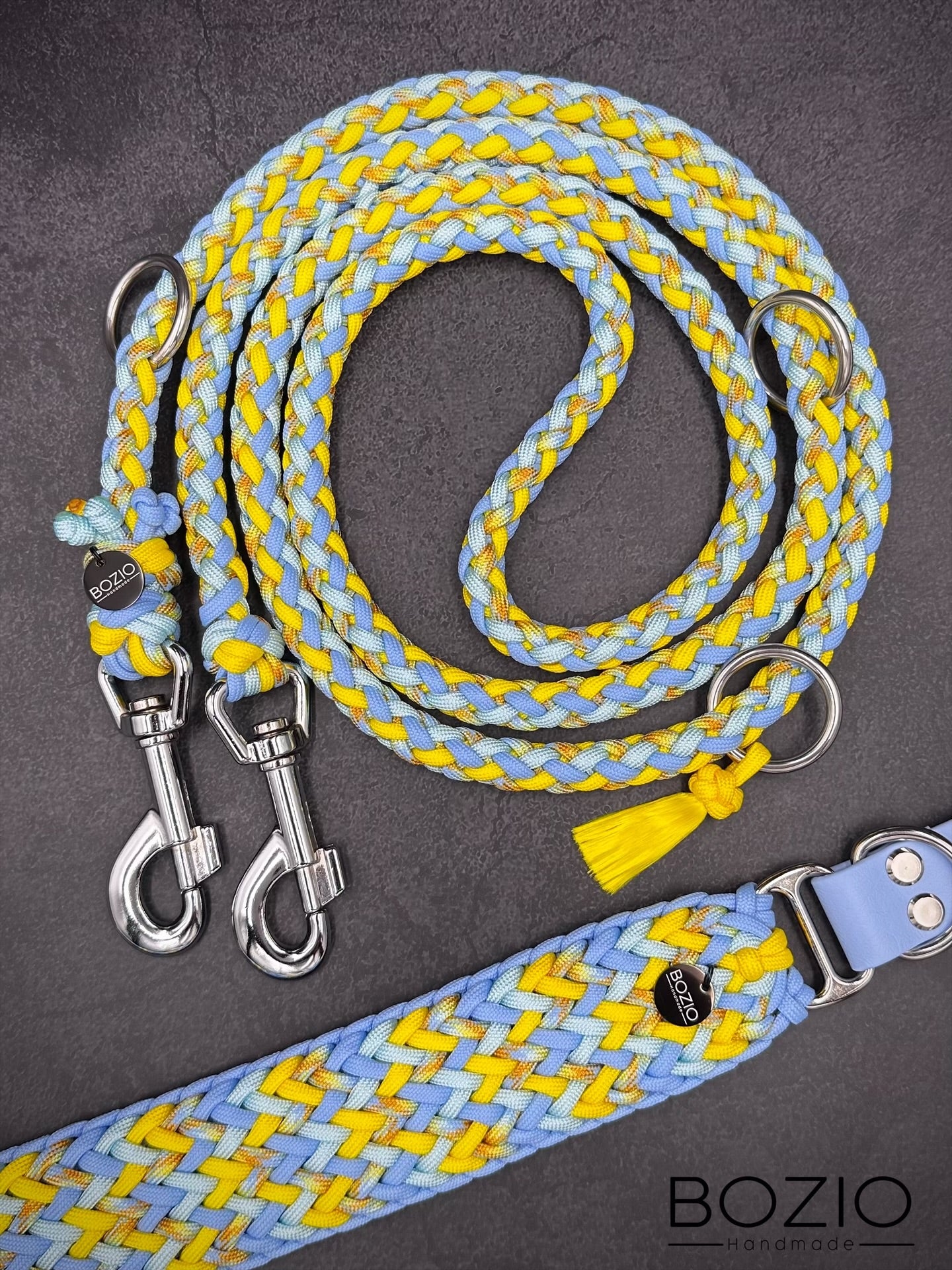 29. EXPLOSION & GAUCHO Halsband & Leine im Set