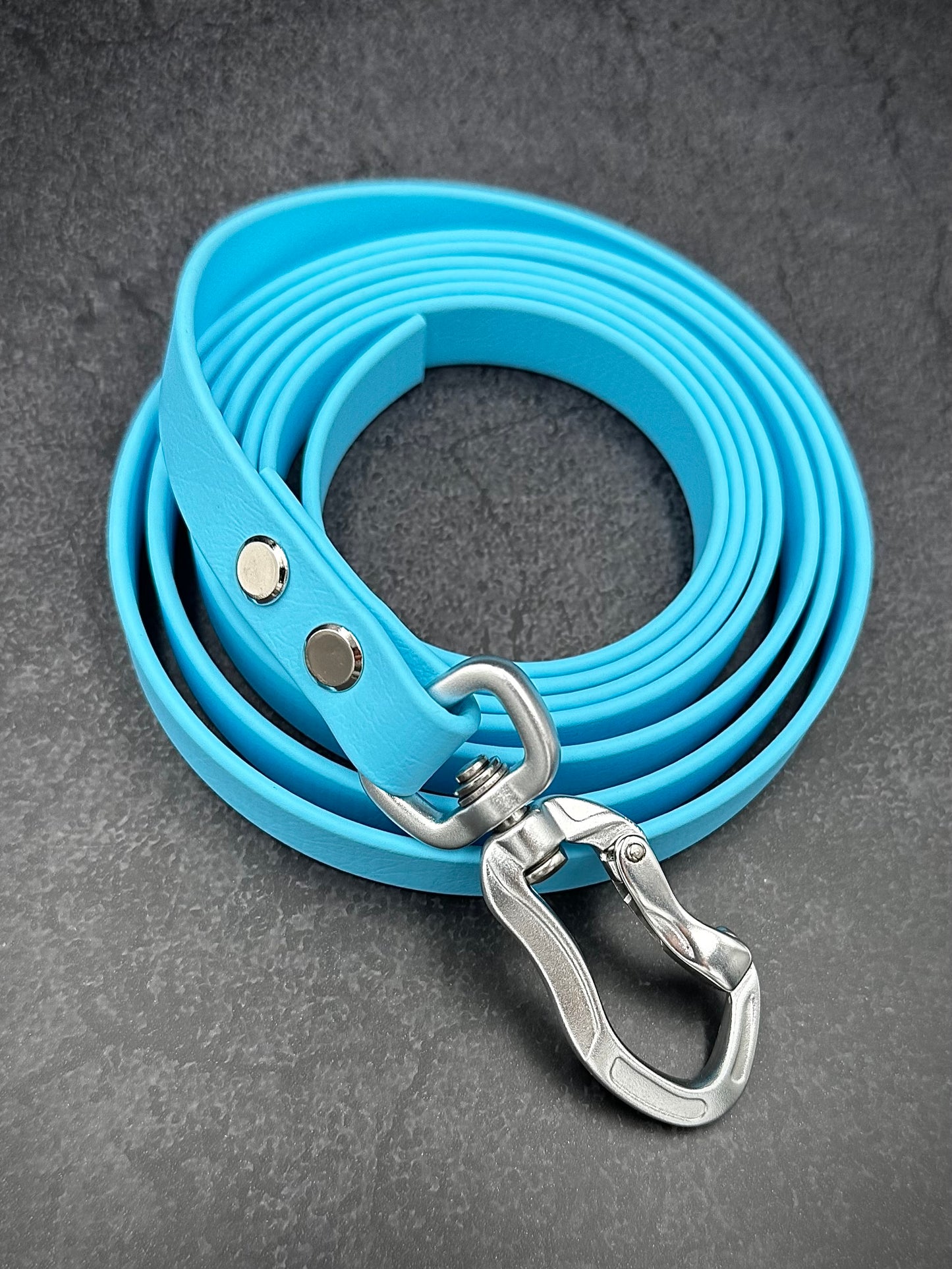 SCHLEPPLEINE Biothane | 16mm