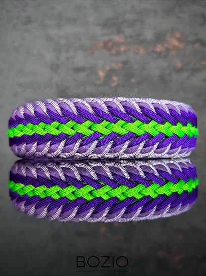 27. MOONSHINE & GAUCHO Halsband & Leine im Set