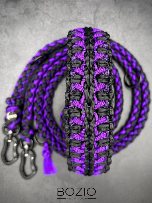10. STARRYSKY & GAUCHO Halsband & Leine im Set