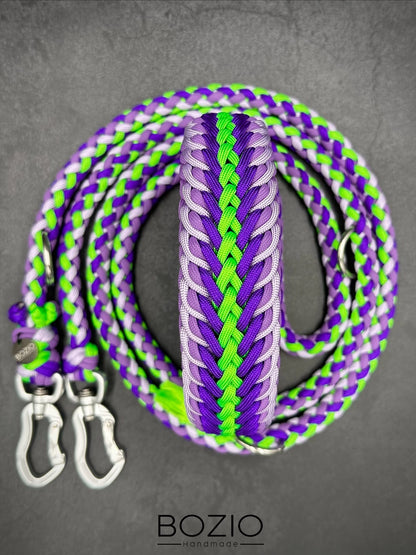 27. MOONSHINE & GAUCHO Halsband & Leine im Set