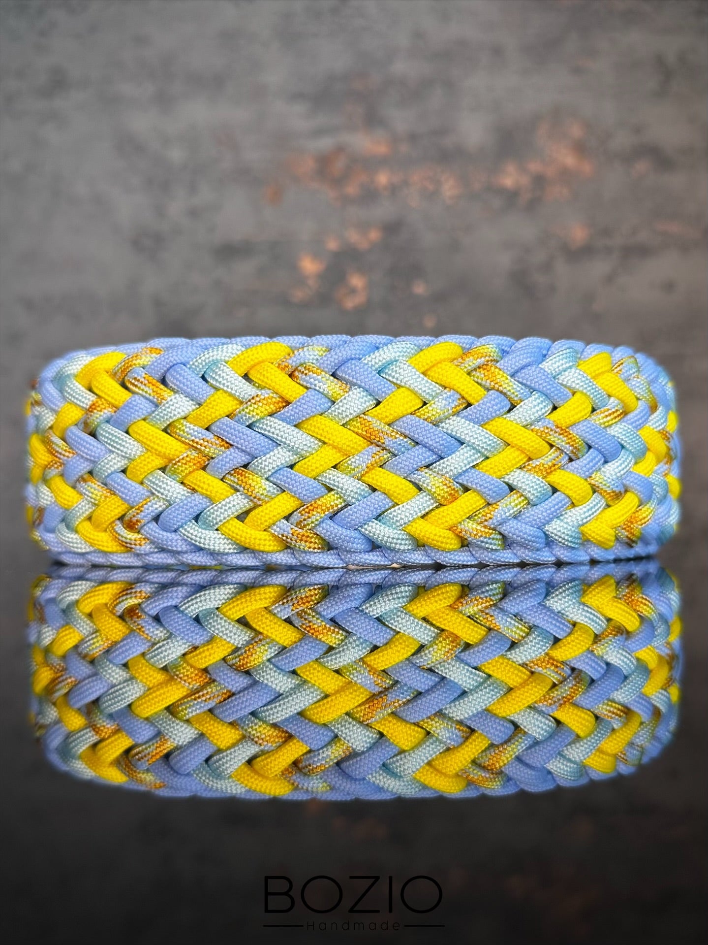 29. EXPLOSION & GAUCHO Halsband & Leine im Set