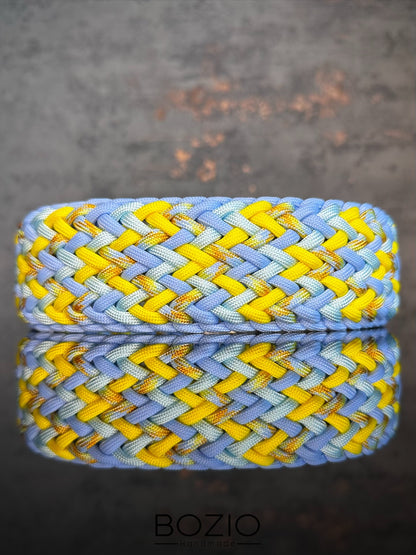 29. EXPLOSION & GAUCHO Halsband & Leine im Set