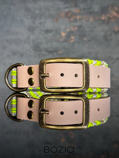 34. CHEVRON & GAUCHO Halsband & Leine im Set