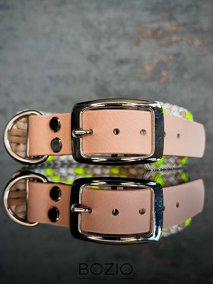 24. EXPLOSION & GAUCHO Halsband & Leine im Set