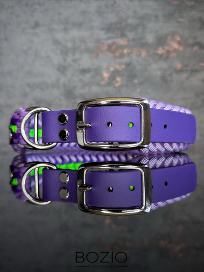 27. MOONSHINE & GAUCHO Halsband & Leine im Set