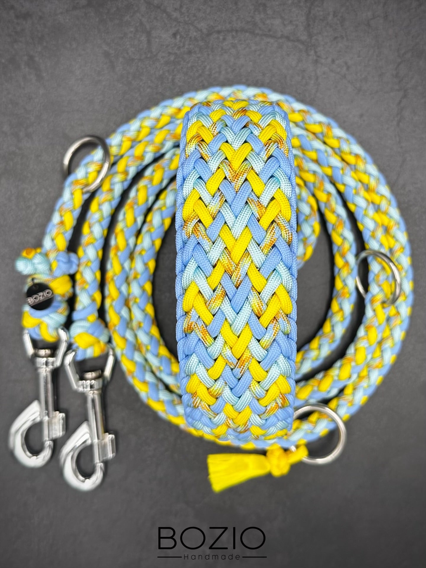 29. EXPLOSION & GAUCHO Halsband & Leine im Set