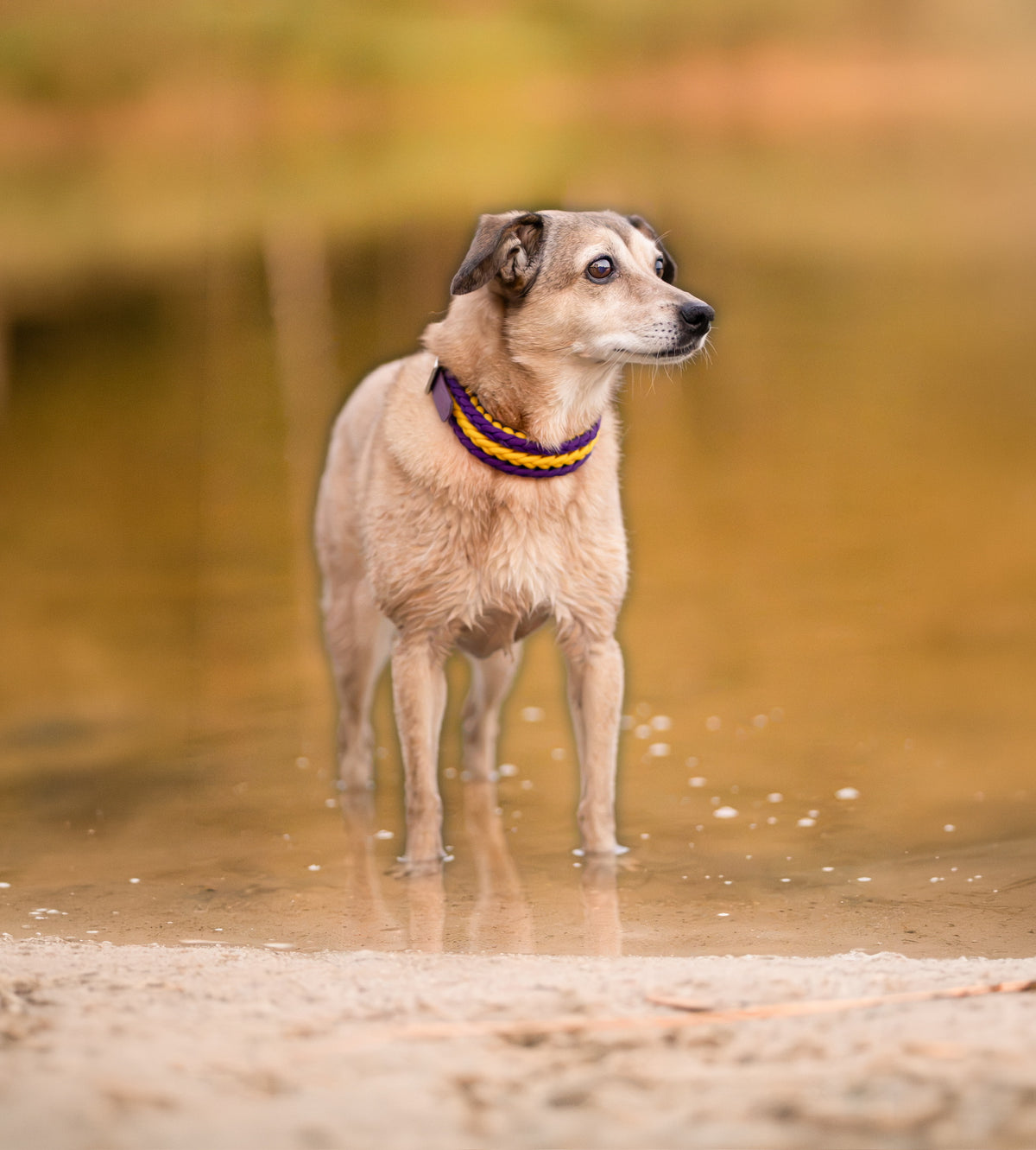 FANTASTIC 3
