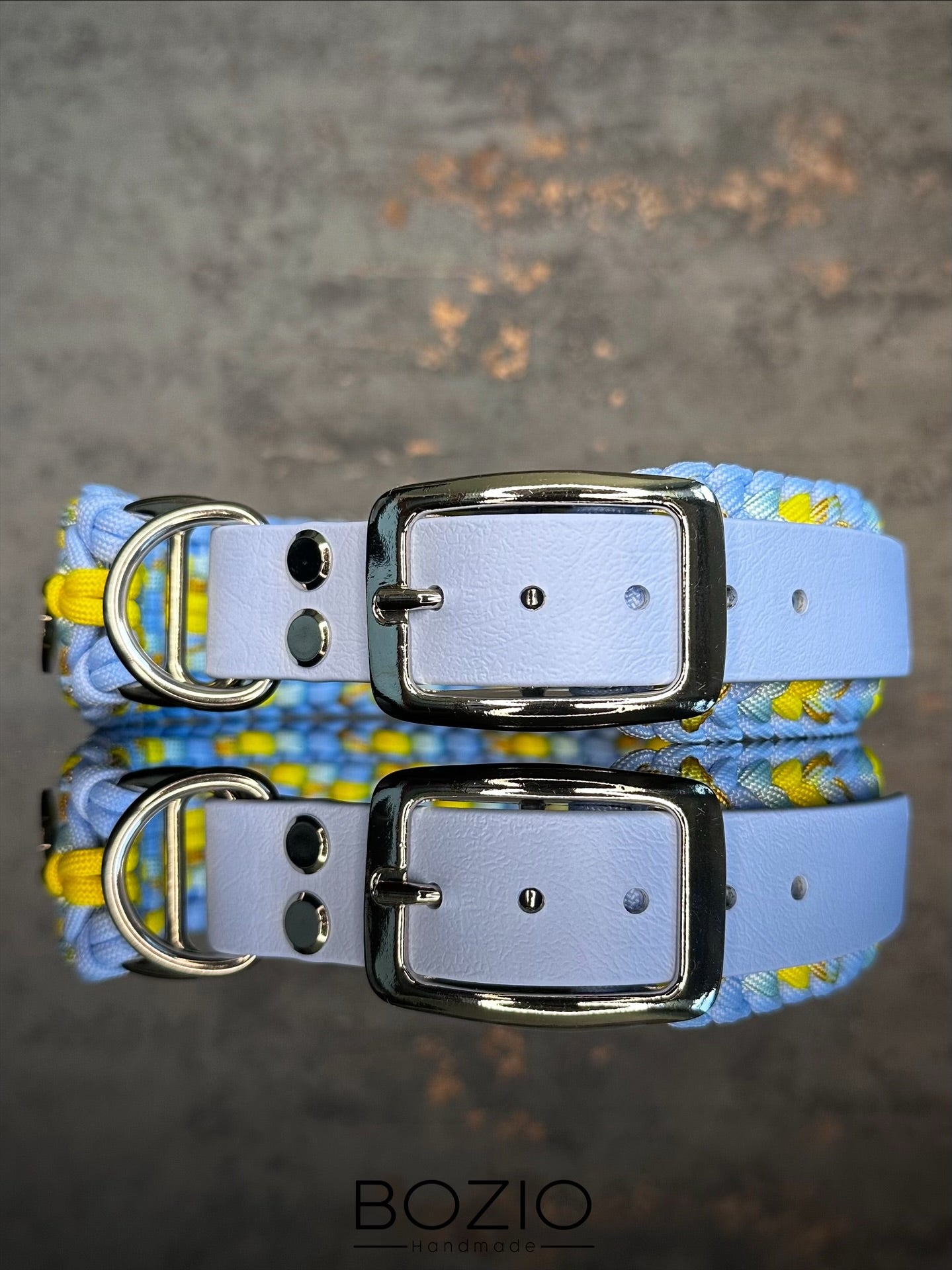 29. EXPLOSION & GAUCHO Halsband & Leine im Set