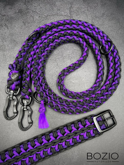10. STARRYSKY & GAUCHO Halsband & Leine im Set