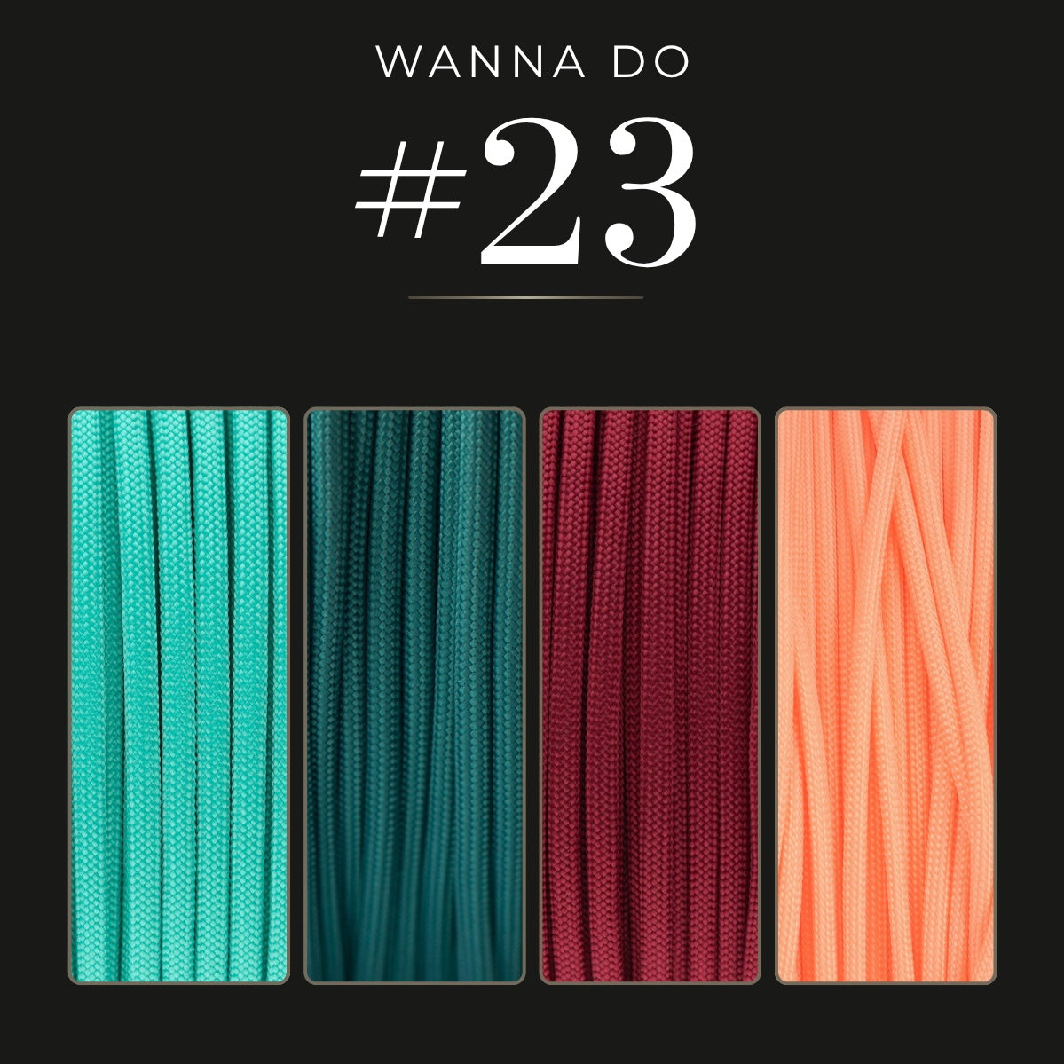 WANNA DO 23